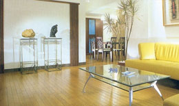 2009��ذ��ИI�lչ�΄�֔�����^